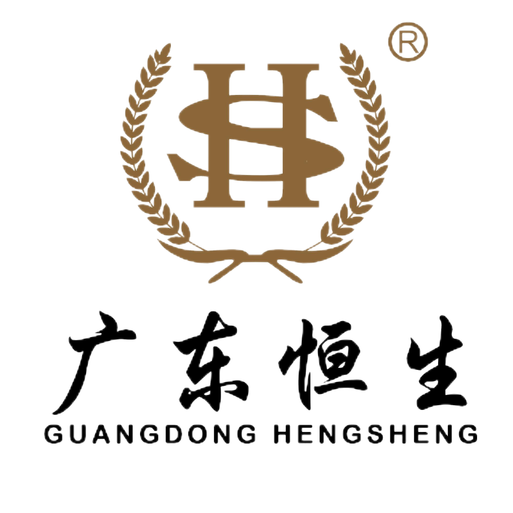 廣東恒生會計師事務所有限公司
